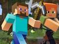 Joc Minecraft Hidden Items