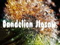 Joc Dandelion Jigsaw