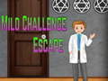 Joc Amgel Mild Challenge Escape