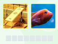 Joc Picword