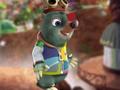 Joc Moley Moletown Chase