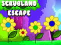 Joc Scrubland Escape