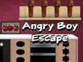 Joc Angry Boy Escape