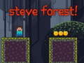 Joc Steve Forest