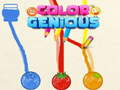 Joc Color Genious