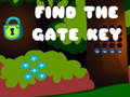 Joc Find the Gate Key
