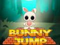 Joc Bunny Jump