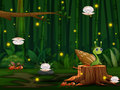 Joc Snail Run