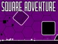 Joc Square Adventure