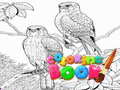 Joc Coloring Book for Adults