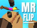 Joc Mr Flip