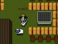 Joc Sheep13
