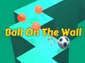 Joc Ball on the Wall