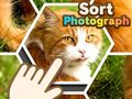 Joc Sort Photograph