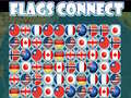 Joc FLAG CONNECT