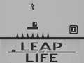 Joc Leap of Life
