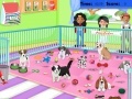 Joc Puppy Pet Care