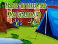 Joc Rescue The Green Toad From Underground