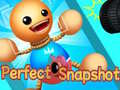 Joc Perfect Snapshot