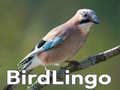 Joc BirdLingo