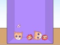 Joc Evolution of Cat Memes