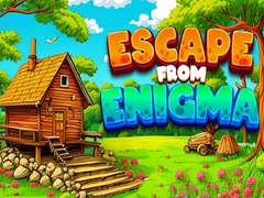 Joc Escape From Enigma