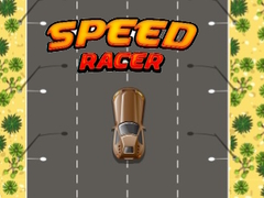 Joc Speed Racer