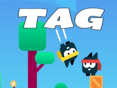 Joc Tag