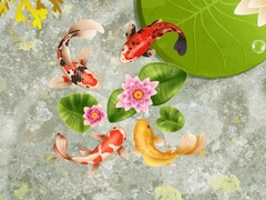 Joc Koi Fish Pond