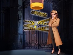Joc Pin Detective