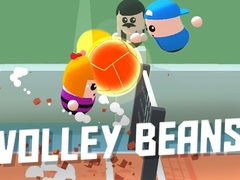 Joc Volley Beans