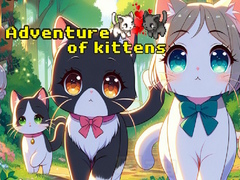 Joc Adventure of Kittens