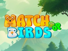 Joc Match Pop Birds