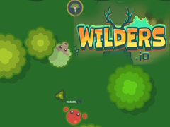 Joc Wilders.io