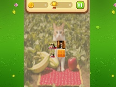 Joc Farm Cat Memory Match