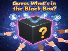 Joc Guess What's in the Black Box?