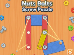 Joc Nuts Bolts Screw Puzzle