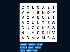 Joc Word Search Word Puzzle