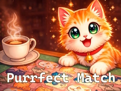 Joc Purrfect Match