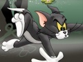 Joc Tom And Jerry Chase In Marsh