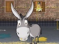 Joc Donkey Gafoor