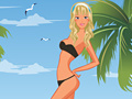 Joc Romantic Paradise